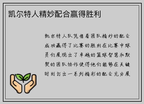 凯尔特人精妙配合赢得胜利